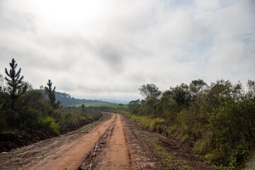 Dirt road in the rural landscape of the pampa biome in southern Brazil