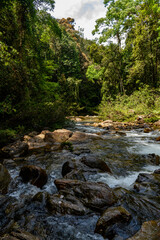 Naklejka na ściany i meble Sinharaja Forest Reserve, a national park in Sri Lanka. UNESCO World Heritage