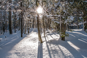 prima neve