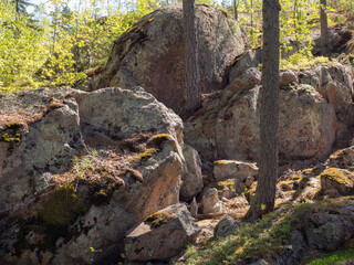 Naklejka na ściany i meble landscape with rocks