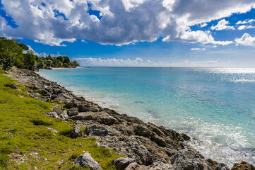 It's Coast of the Carribean Sea, Bridgetown, Barbados