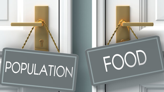 food or population as a choice in life - pictured as words population, food on doors to show that population and food are different options to choose from, 3d illustration