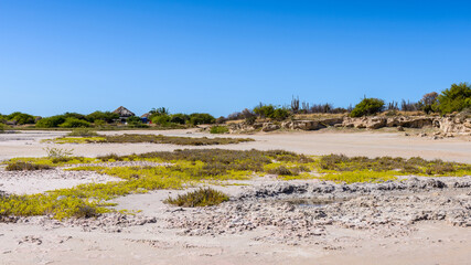It's Beautiful nature of the Isla Margarita, Venezuela