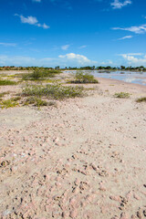 It's Beautiful nature of the Isla Margarita, Venezuela