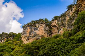 Nature of the Sumidero Canyon National Park, Chipas, Mexico.