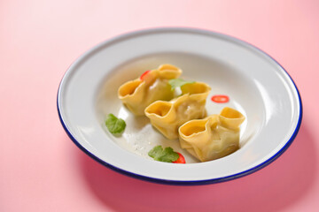 Close up fresh boiled dumplings with hot steams on white ceramic plate. Chinese food, Asian cuisine.