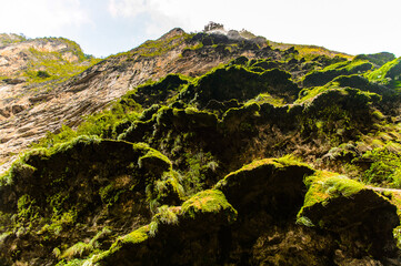 Rock formations similar to  a fair tree, Sumidero Canyon National Park, Chipas, Mexico.