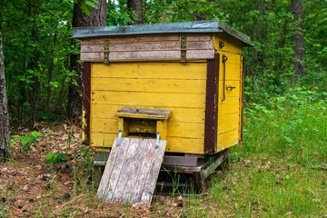 Yellow beehive in the forest on summer.