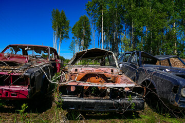 Boden, Sweden  A car graveyard by the side of the road.
