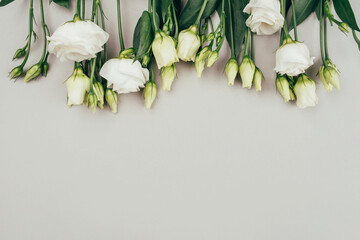 Fresh white flowers on a grey pastel background. Spring minimal concept.