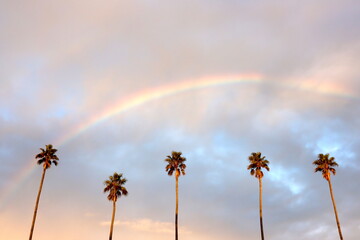 rainbow over the sky