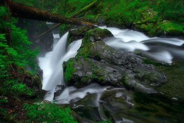 Long exposure of a serene waterfall in a green mossy rainforest 