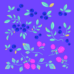 Fototapeta na wymiar beautiful pattern, wild berries on a blue background