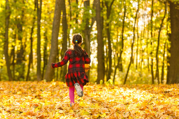 Beautiful little girl with autumn leaves outdoors