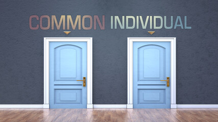 Common and individual as a choice - pictured as words Common, individual on doors to show that Common and individual are opposite options while making decision, 3d illustration