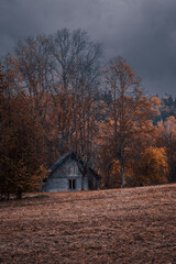 Fototapeta premium house in the woods