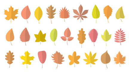 Vector set. Autumn leaves of different shapes and colors.