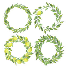 Set of four frames. Round foliage with lemon fruit frames. Plant wreaths. Space for Text, photo. Card template for Wedding, Invitation, Greeting and Birthday. Tree branches. Watercolor illustration. 