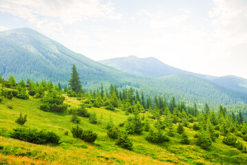 beautiful green mountain valley scene