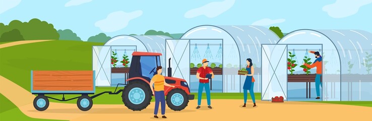 Farm agriculture vector illustration. Cartoon flat farmer people growing organic vegetables in greenhouse or hothouse, harvesting, tractor with trailer taking crop to agricultural market background