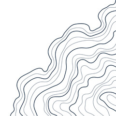 topographic map abstract height lines isolated on white background vector