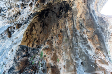 Templar hermitage of San Bartolome and natural park of the Cañon del Rio Lobos in Soria