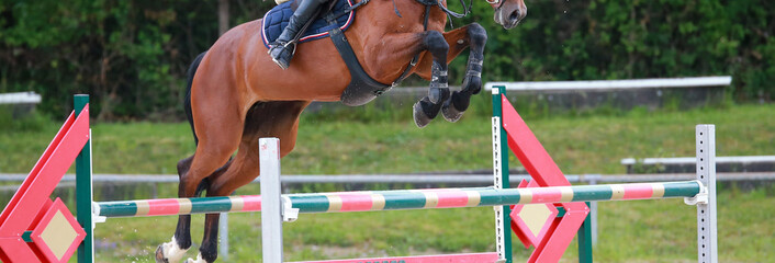 Jumping horse in close-up over the jump, shot of the saddle line with the head cut..
