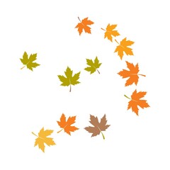 Naklejka na ściany i meble autumn Leaf background