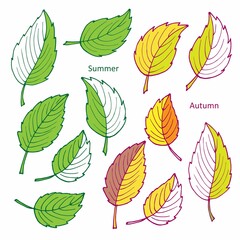 Green and red leaves set. Vector clipart. Summer and autumn foliage. Floral Herb Design elements. Falling leaves. For scrapbooking, party design, logo, wedding invitation, greeting card, blog, poster