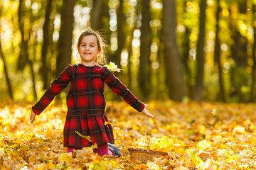 Very cheerful child having fun while tossing up yellow leaves