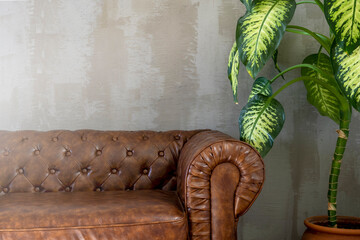 Minimalist interior design. Brown old retro vintage leather couch sofa. Cement concrete beton wall....