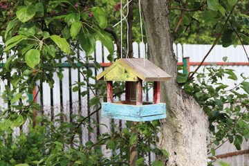 Naklejka na ściany i meble Nesting old box handmade in the garden