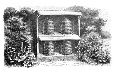 Bee hives for beekeeping / Illustration from Brockhaus Konversations-Lexikon 1908

