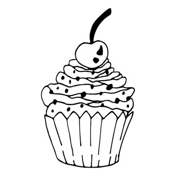 Vector black and white cupcake illustration with cherry. Hand drawing food doodle on white background. Line art for bakery logo, wedding invitation, print design.