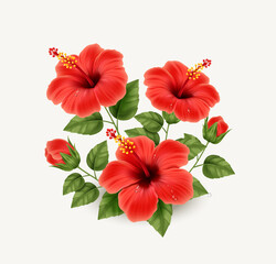 Realistic beautiful hibiscus flower. Exotic tropical plant. Vector illustration EPS10 - obrazy, fototapety, plakaty