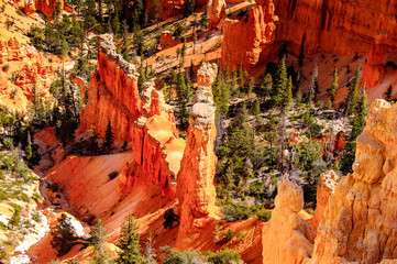 It's Amazing view of the Bryce Canyon National park, Utah, USA