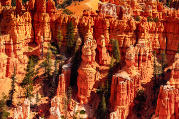 It's Amazing view of the Bryce Canyon National park, Utah, USA