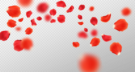 Falling red rose petals