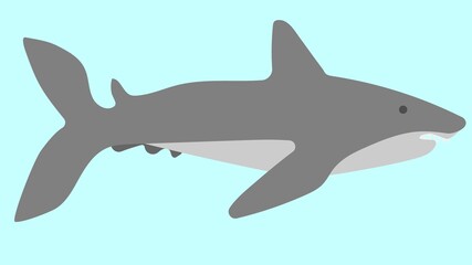 Image of a shark on a blue background. Vector image, eps 10