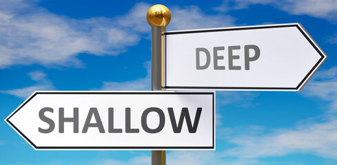 Shallow and deep as different choices in life - pictured as words Shallow, deep on road signs pointing at opposite ways to show that these are alternative options., 3d illustration