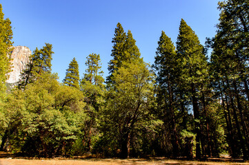 It's Yosemite National Park California
