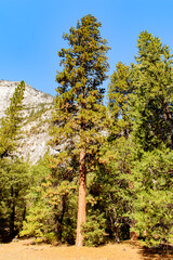 It's Yosemite National Park California