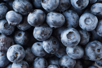 Fresh Blueberry Background. Texture blueberry berries close up. Sprinkle blueberries. Top view. Fresh blueberries scattered. Bunch of blueberries. Antiviral treatment. Coronavirus prevention.