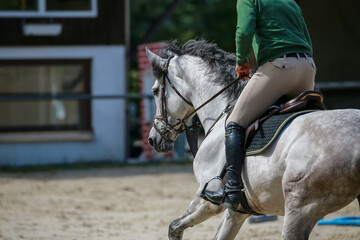 Show jumping horse galloping with a rider close-up The head with a waving mane Photographed from...