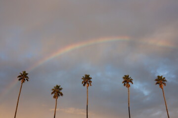 rainbow over the sky