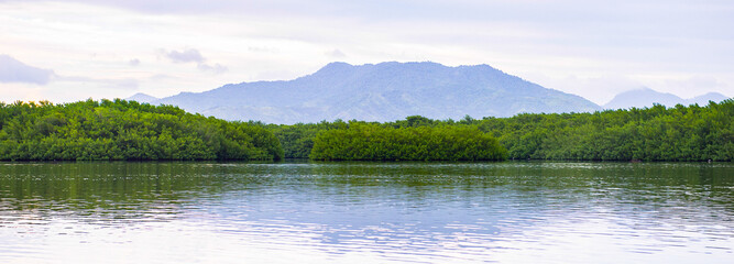 It's Nature and waters of Trinidad and Tobago, South America