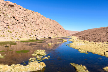 Fototapeta na wymiar It's Beautiful nature of the Atacama desert