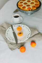 Summer apricot pie homemade delicious fruit dessert. Apricot tart. Fruit pie. French pastries.