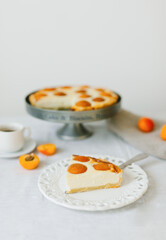 Summer apricot pie homemade delicious fruit dessert. Apricot tart. Fruit pie. French pastries.