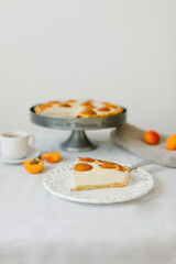 Summer apricot pie homemade delicious fruit dessert. Apricot tart. Fruit pie. French pastries.